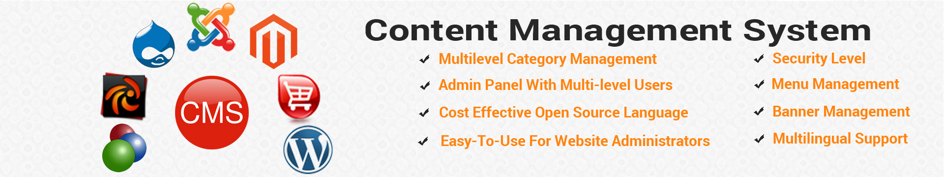 Content Management System