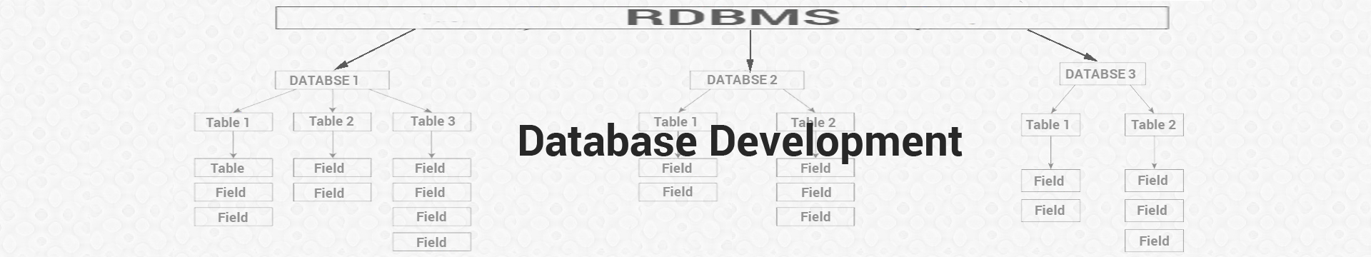 Database Development