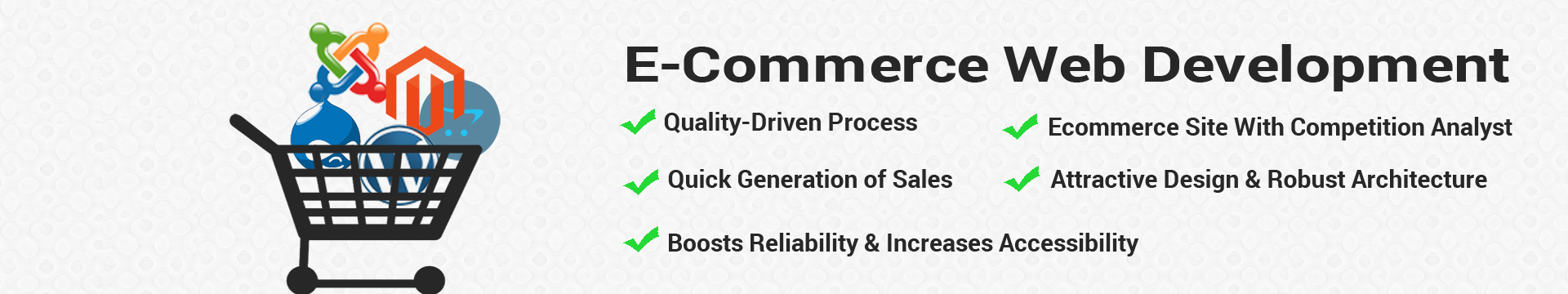 E-Commerce Web Development